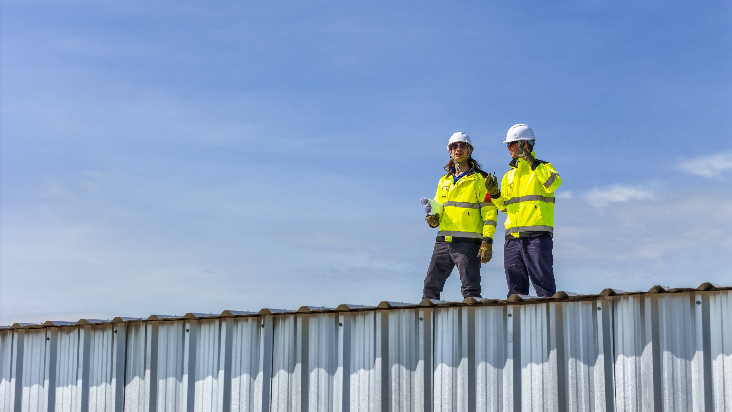 kuşsuz çatı proje